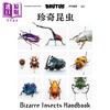预售 【中商原版】BRUTUS特集 珍奇昆虫 日文原版日韩 BRUTUS特別編集 珍奇昆虫 マガジンハウス 商品缩略图0