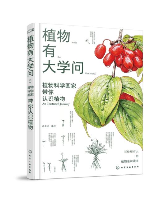 植物有大学问:植物科学画家带你认识植物（礼盒版）多规格 商品图1