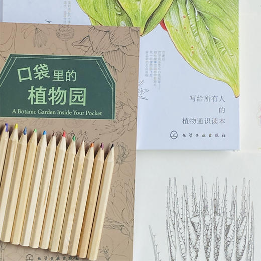植物有大学问:植物科学画家带你认识植物（礼盒版）多规格 商品图3