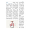 中华医学 百科全书 临床医学 呼吸病学 王辰 主编 本卷条目按学科知识体系顺序排列 9787567918160 中国协和医科大学出版社 商品缩略图4