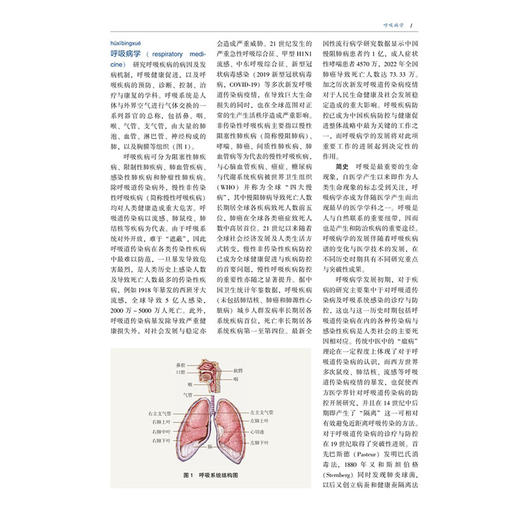 中华医学 百科全书 临床医学 呼吸病学 王辰 主编 本卷条目按学科知识体系顺序排列 9787567918160 中国协和医科大学出版社 商品图4