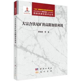 大宗含铁尾矿的高附加值利用