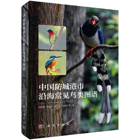 中国防城港市沿海常见鸟类图谱 何斌源等 9787030857101