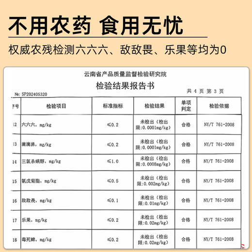 批发团购大件 云南罗平有机小黄姜粉200克6-50瓶（整件） 商品图1