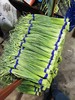 【YC】精品蒜苔 商品缩略图1