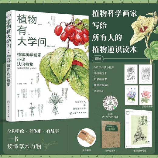 植物有大学问:植物科学画家带你认识植物（礼盒版）多规格 商品图0