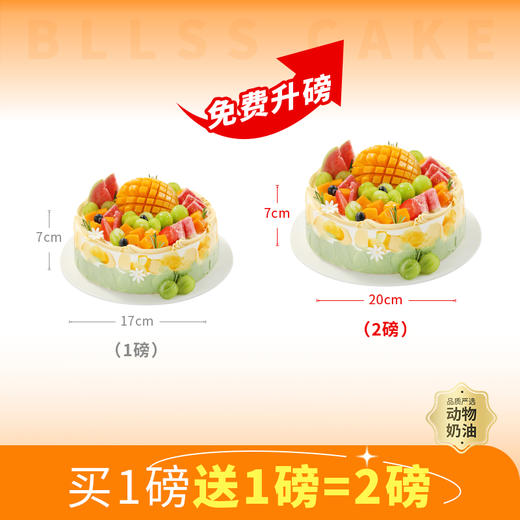 【免费升磅-买1磅送1磅，到手2磅】芒芒盛夏/果粒满满水果蛋糕，多种水果铺满顶层，每一口都是鲜活的夏天（今日特惠） 商品图0