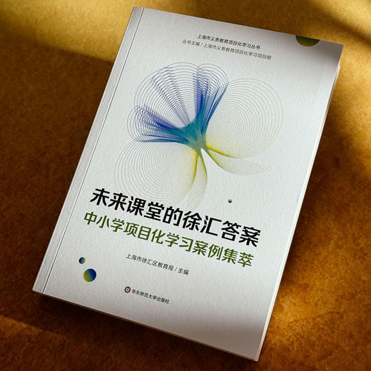 未来课堂的徐汇答案 中小学项目化学习案例集萃 上海市义务教育项目化学习丛书 商品图4