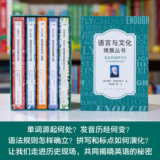 【新东方】语言与文化博雅丛书：追根溯源+悦耳动听+言之有理+拼之有道+可圈可点 语言学大师戴维·克里斯特尔经典之作 周成刚译 商品图2