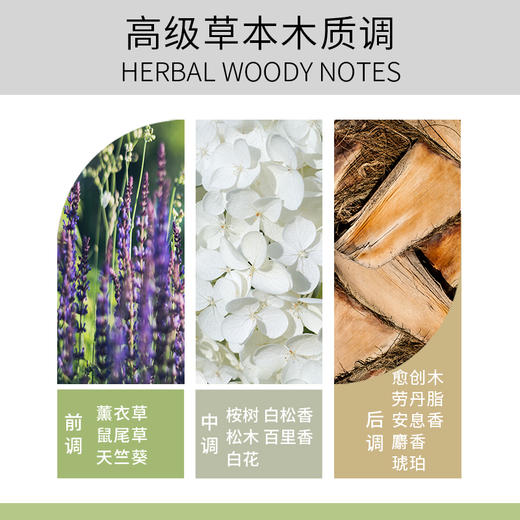 INGRAM'S英格莱恩南非原装进口草本香樟乳霜皮肤红痒保湿润护-Z 商品图1