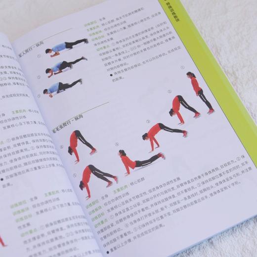 青少年身体训练动作全书 中小学体育教师用书体育课程训练计划制定 青少年体能爆发力力量训练体能培训 商品图3