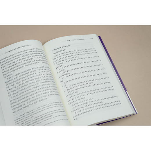 独立担保的中国叙事：制度型开放的探索与范式 陆璐 著 法律出版社 商品图1