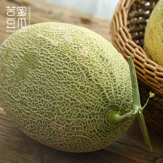 苦豆蜜瓜 新疆三塘湖哈密瓜 绿色食品认证 地理标志认证 全国名特优新农产品 熊猫指南二星 商品图5