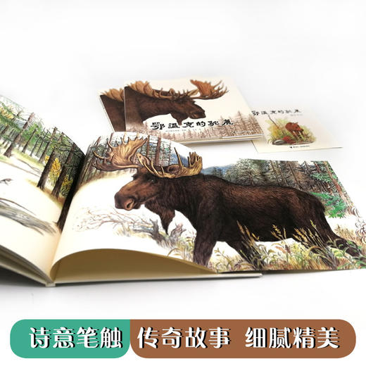 【限量亲签版】《鄂温克的驼鹿》格日勒其木格·黑鹤/文，九儿/图 商品图2