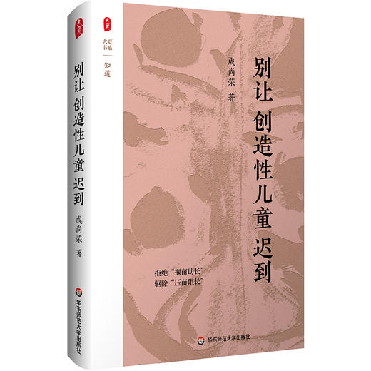 别让创造性儿童迟到 大夏书系 知道 成尚荣 商品图0