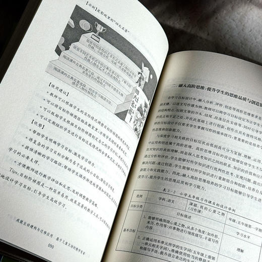 成就主动建构与迁移应用 基于儿童立场的教学变革 王平 学科项目化学习案例 商品图12