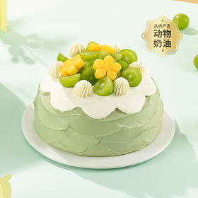 【青岚芒果蛋糕】治愈系抹茶鲜果蛋糕，脆爽青提 + 金黄芒果雕花，抹茶青绿奶油与柔滑奶白花瓣裱花相融，甜而不腻超清新（成都幸福西饼蛋糕）