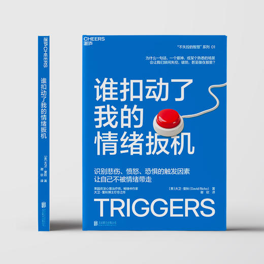 谁扣动了我的情绪扳机 大卫·里秋情绪管理  神经科学正念练习 商品图2