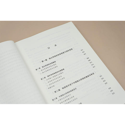 独立担保的中国叙事：制度型开放的探索与范式 陆璐 著 法律出版社 商品图2