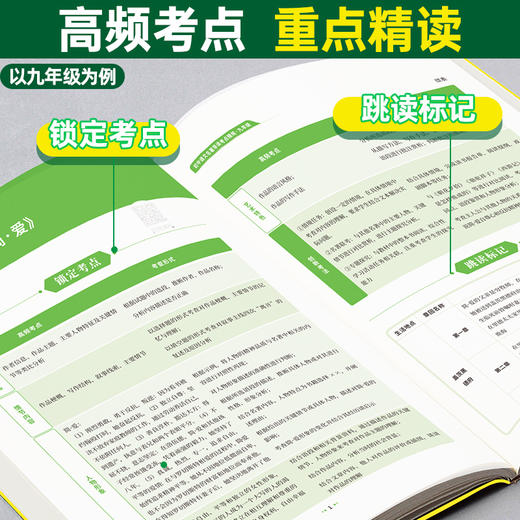 【天利38套】2027 初中名著导读考点精练 商品图3