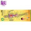 预售 【中商原版】DK 人体 你的奇妙身体结构大揭秘 Body Your Amazing Anatomy Revealed 英文原版 DK 科学百科作品 商品缩略图4