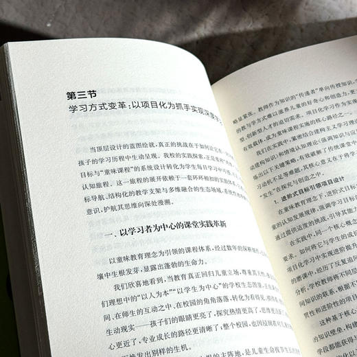 成就主动建构与迁移应用 基于儿童立场的教学变革 王平 学科项目化学习案例 商品图11