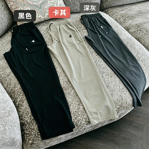 【起源德国品牌 凉感舒适 风洞透气】德国Trek&Travel 飞鹰速干冰丝休闲裤 商品图2