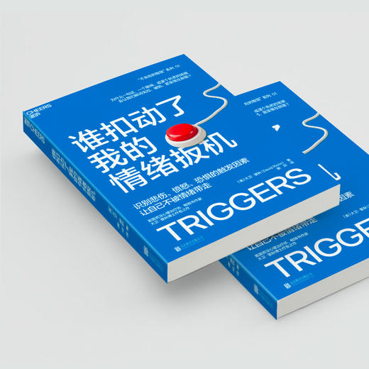 谁扣动了我的情绪扳机 大卫·里秋情绪管理  神经科学正念练习 商品图4