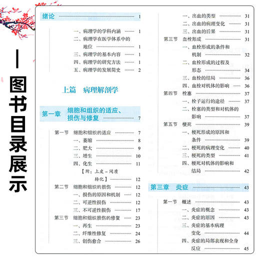 病理学 第3三版 高维娟 王哲 全国中医药行业高等教育十五五规划教材第十二版 供中西医临床医学等专业用 中国中医药出版社 商品图3