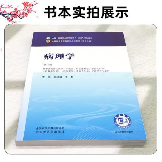 病理学 第3三版 高维娟 王哲 全国中医药行业高等教育十五五规划教材第十二版 供中西医临床医学等专业用 中国中医药出版社 商品图2