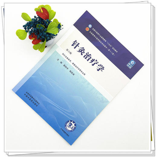 针灸治疗学 第6六版 高树中 陈跃来 全国中医药行业高等教育十五五规划教材第十二版 供针灸推拿学等专业用 中国中医药出版社 商品图2