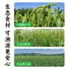 红曲小米黑芝麻轻脆片 ≥50%小米 佐以红曲米自然发酵提香 薄脆酥香 谷物自然咸味 非烘烤非油炸 谦益农业出品 商品缩略图4
