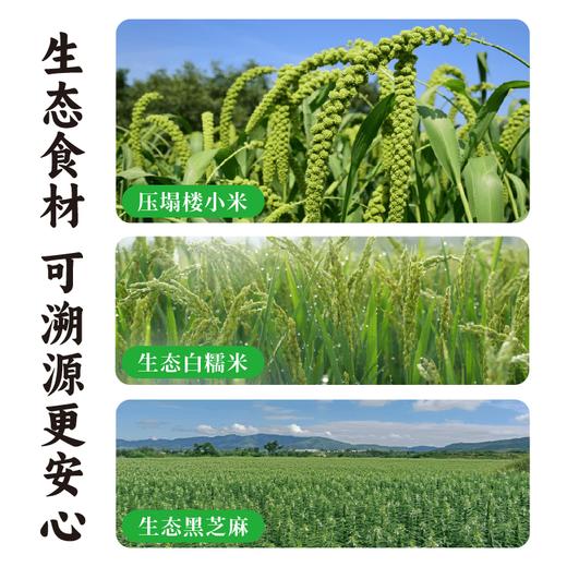 红曲小米黑芝麻轻脆片 ≥50%小米 佐以红曲米自然发酵提香 薄脆酥香 谷物自然咸味 非烘烤非油炸 谦益农业出品 商品图4