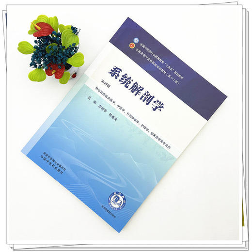 系统解剖学 第4四版 李新华 陈春美 全国中医药行业高等教育十五五规划教材第十二版 供中西医临床医学等专业用 中国中医药出版社 商品图3