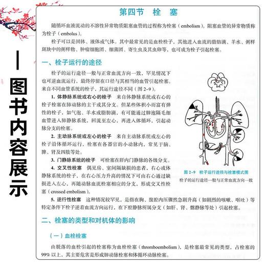 病理学 第3三版 高维娟 王哲 全国中医药行业高等教育十五五规划教材第十二版 供中西医临床医学等专业用 中国中医药出版社 商品图4