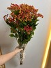 红色荚蒾果一扎 商品缩略图2