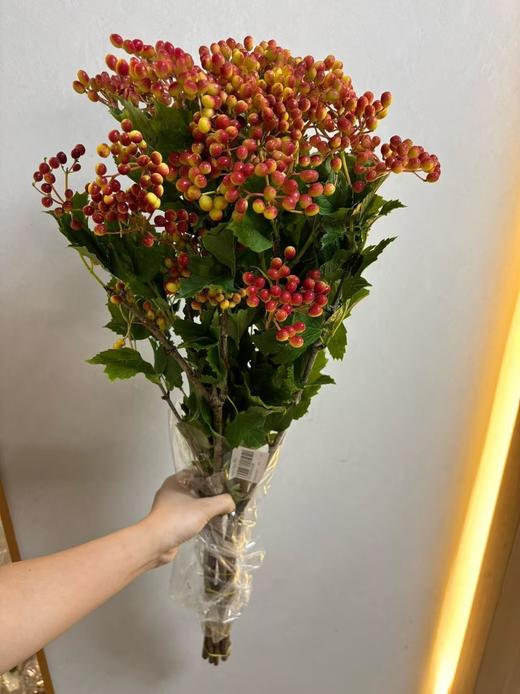 红色荚蒾果一扎 商品图2