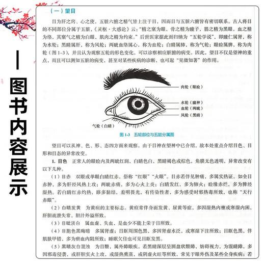 中医诊断学 第2二版 胡志希 李峰 全国中医药行业高等教育十五五规划教材第十二版 供中西医临床医学等专业用 中国中医药出版社 商品图4
