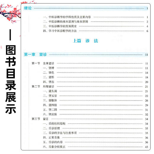 中医诊断学 第2二版 胡志希 李峰 全国中医药行业高等教育十五五规划教材第十二版 供中西医临床医学等专业用 中国中医药出版社 商品图3