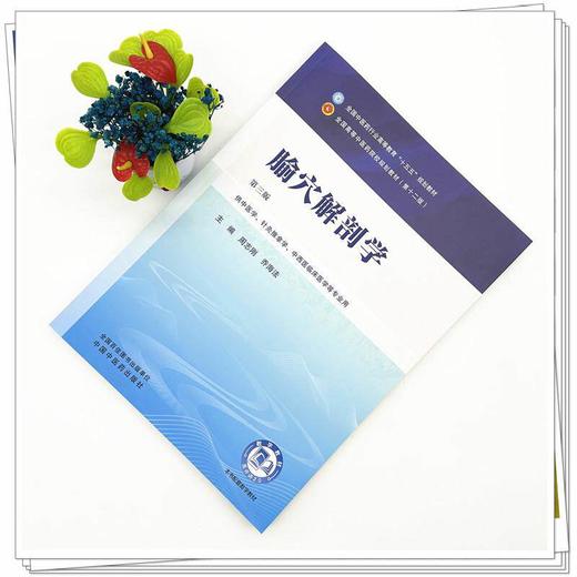 腧穴解剖学 第3三版 周志刚 乔海法 全国中医药行业高等教育十五五规划教材第十二版 供中医学针灸推拿学等专业用中国中医药出版社 商品图2