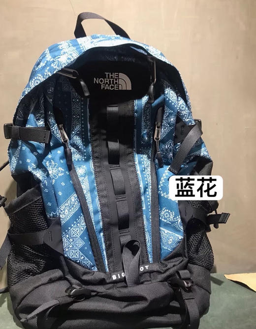 原单正品28L北面书包双肩包 商品图0