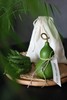 绿葫芦+天然香薰佛手 |  摆在家里，寓意：福禄双全 商品缩略图0