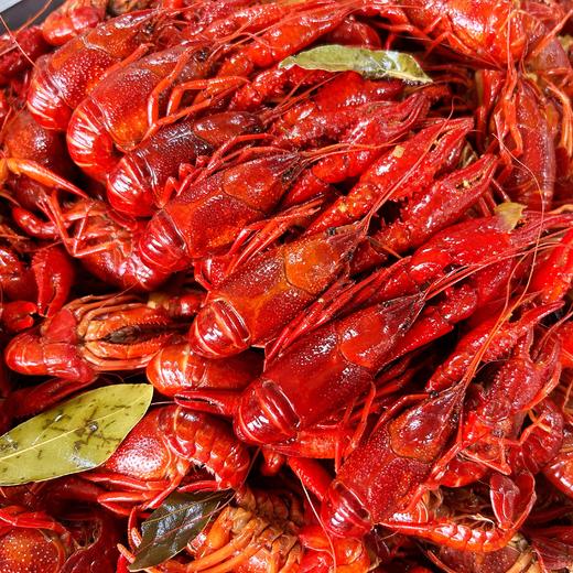 邂逅青春即食小龙虾 （麻辣\蒜泥\花雕） 750g/盒X2盒 (固形物含量≥60%)  商品图1