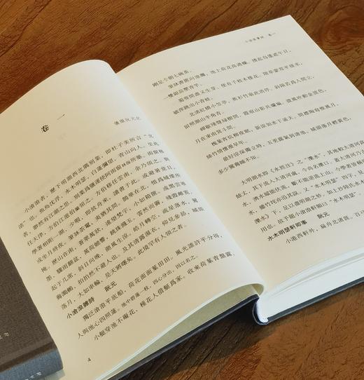 【特惠2.5折】子海精华编：《小沧浪笔谈 定香亭笔谈》《扪虱新语》，精装，32开，[清]阮元、[南宋]陈善著，山东人民出版社2018年一版一印，372+202页，两册定价：130，售价：32元。 商品图4
