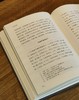 【特惠2.5折】子海精华编：《小沧浪笔谈 定香亭笔谈》《扪虱新语》，精装，32开，[清]阮元、[南宋]陈善著，山东人民出版社2018年一版一印，372+202页，两册定价：130，售价：32元。 商品缩略图11