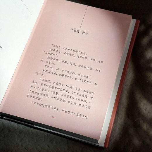 别让创造性儿童迟到 大夏书系 知道 成尚荣 商品图6