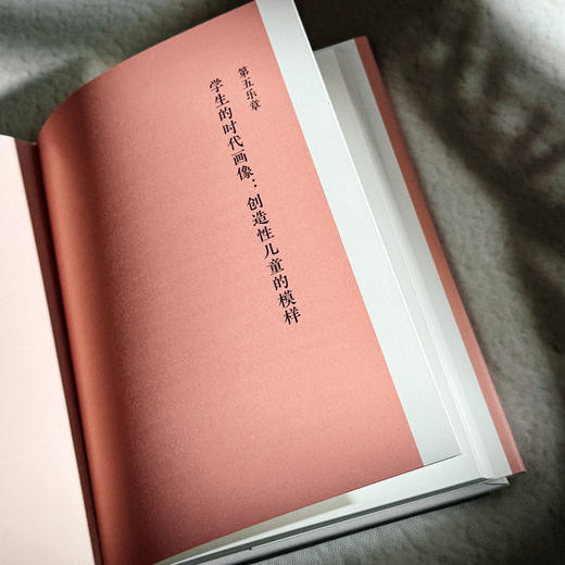 别让创造性儿童迟到 大夏书系 知道 成尚荣 商品图12