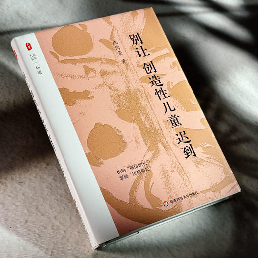 别让创造性儿童迟到 大夏书系 知道 成尚荣 商品图4