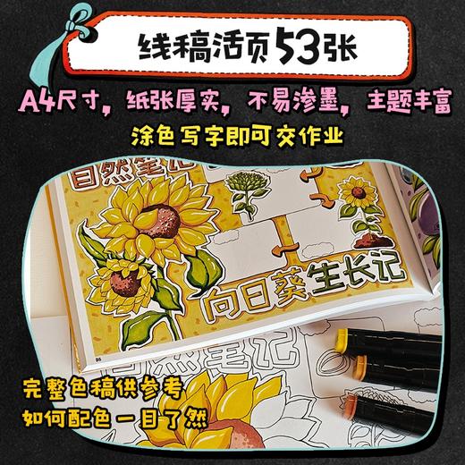 小学生手抄报创作指南 教程+素材+模板 手抄报线稿活页填色填内容添元素 搭配手抄报参考素材和手抄报创作教程 商品图4