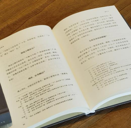 【特惠2.5折】子海精华编：《小沧浪笔谈 定香亭笔谈》《扪虱新语》，精装，32开，[清]阮元、[南宋]陈善著，山东人民出版社2018年一版一印，372+202页，两册定价：130，售价：32元。 商品图9